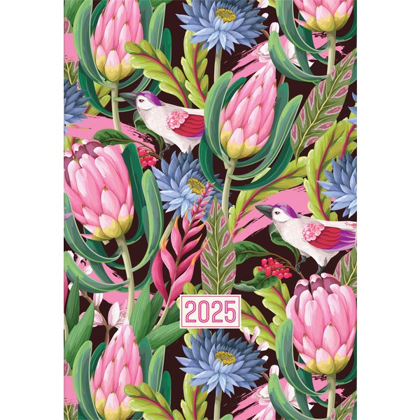 Collins A4 Diary Planner Month To View 2025 Birds Bright Colours ...