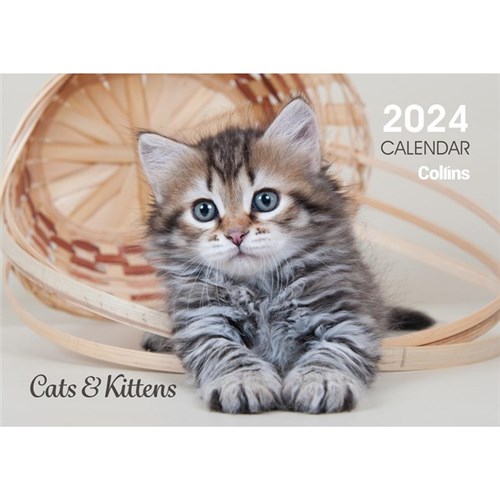 Collins Rosebank A4 Wall Calendar 2024 Cats And Kittens
