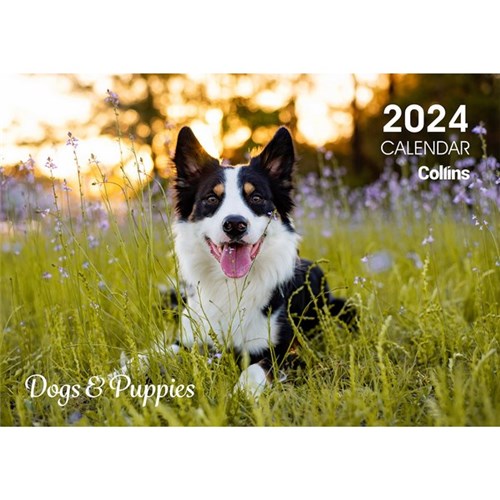 Collins Rosebank A4 Wall Calendar 2024 Dogs And Puppies