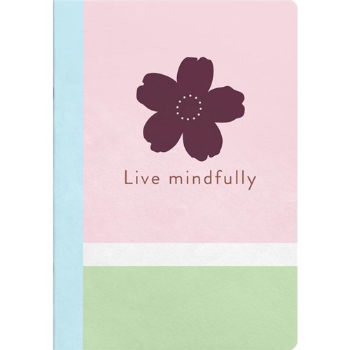 Colllins A5 Notebook Harmony, Pack of 3