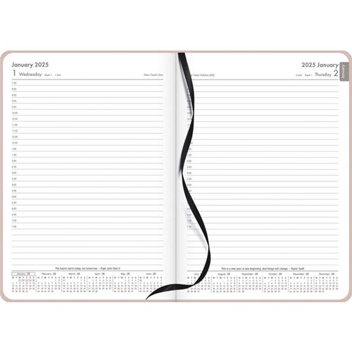 OfficeMax A51 1/2 Hour Appointment Diary A5 1 Day Per Page 2025 Peach