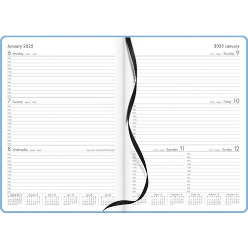 OfficeMax A43 1 Hour Appointment Diary A4 Week To View 2025 Blue