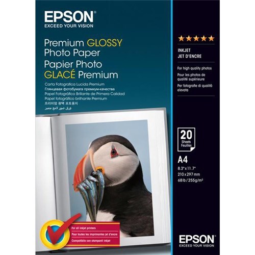 Epson A4 255gsm Premium Glossy Inkjet Photo Card, Pack of 20