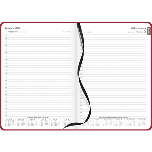 OfficeMax A41 1/2 Hour Appointment Diary A4 1 Day Per Page 2025 Red