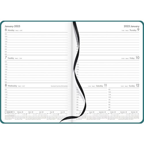 OfficeMax A53 1 Hour Appointment Diary A5 Week To View 2025 Green
