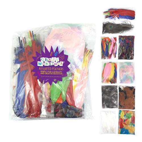 Craft Workshop Craft Feathers Assorted Styles & Colours Classroom Pack