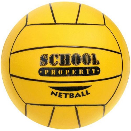 School Property Netball