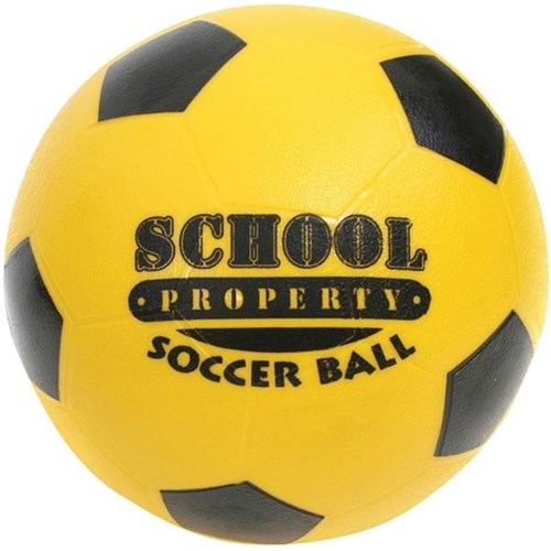 School Property Soccer Ball