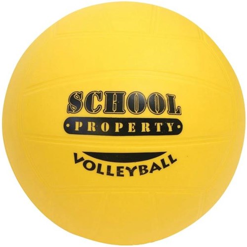 School Property Volleyball
