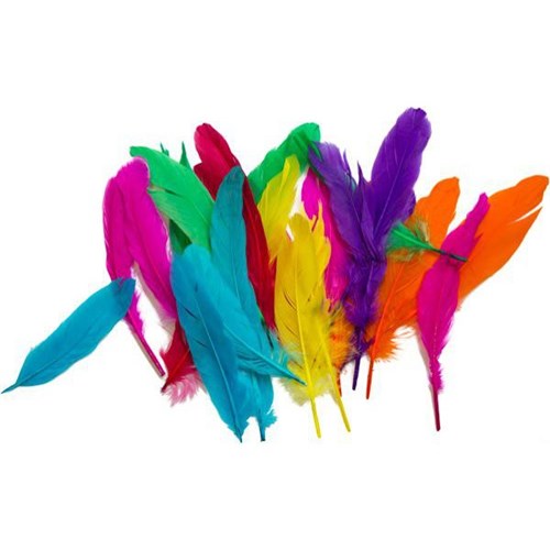 Craft Workshop Craft Feathers Large Assorted Colours 25g